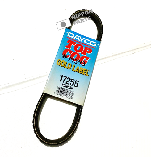CORREA DAYCO USA 17255/13A0650